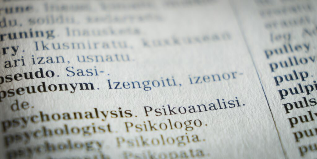 Dictionary to help with translation management